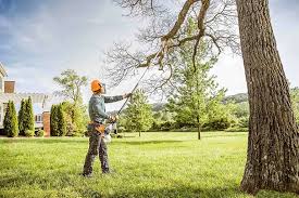 Best Hazardous Tree Removal  in Hainesvle, IL